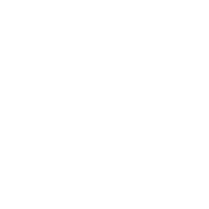 viada-prosper logo